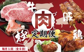 R6-330．【6回定期便】牛・豚・鶏が月替わりで届く！肉づくし定期便