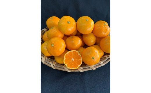 【数量限定】【赤秀特選品】有田みかん　約5kg（Lもしくは2Lサイズ）※サイズ指定不可 CC06