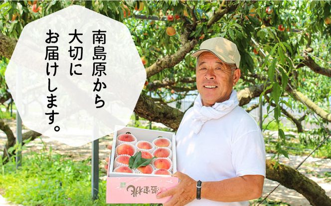 【2026年6月〜発送】どちらが届くかはお楽しみ！温室桃 約1kg / 日川白鳳 or ももか / 桃 もも フルーツ 果物 / 南島原市 / 川田農園 [SAP002]