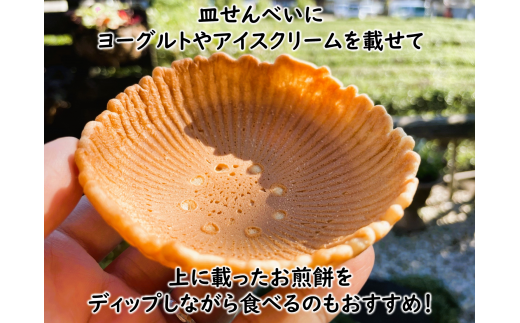 381.お皿まで食べられる！八百津せんべい「皿せんべい」詰合せ 10種セット 煎餅 おやつ お菓子