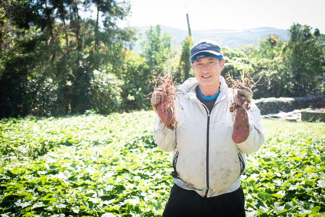 【訳あり】さつまいも 紅はるか3kg（生果） ｜ さつまいも サツマイモ 焼き芋 国産 産地直送