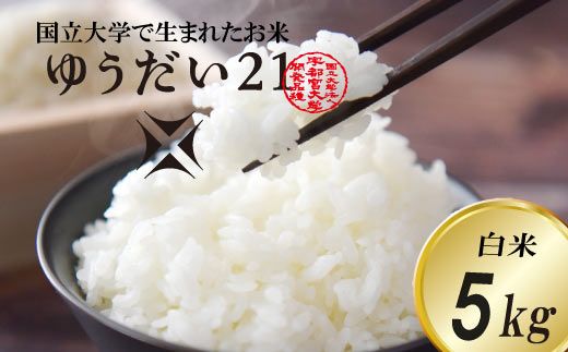 ＼令和7年産・先行予約/[数量限定]あい farm やなぎのお米 令和7年産 ゆうだい21 白米 5kg | 栃木県 益子町 ふるさと納税 お米 米 5kg 白米