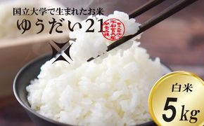 ＼令和7年産・先行予約／【数量限定】あい　farm　やなぎのお米　令和7年産 ゆうだい21 白米 5kg | 栃木県 益子町 ふるさと納税 お米 米 5kg 白米 (DQ006)