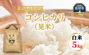 【令和7年度米】【先行予約】【農家直送】環境配慮「魚津のコシヒカリ（晃米）」5kg（白米） ｜ 新米 MK農産 白米 銘柄米 ブランド米 ご飯 おにぎり お弁当 和食 主食 国産 産地直送 甘み 香り もちもち ※2025年9月中旬頃より順次発送予定 ※北海道・沖縄・離島への配送不可