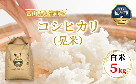 【令和6年度米】環境配慮「魚津のコシヒカリ（晃米）」5kg（白米） ｜ MK農産 白米 銘柄米 ブランド米 ご飯 おにぎり お弁当 和食 主食 国産 産地直送 甘み 香り もちもち ※2024年9月中旬頃より順次発送予定 ※北海道・沖縄・離島への配送不可