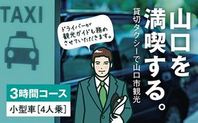 B093 観光タクシー・フリープラン《3時間コース》