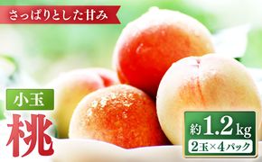 【2025年5月下旬〜順次発送】【南島原の特別栽培】小玉ハウス桃【約1.2kg】（Mサイズ：4パック） / 桃 もも モモ ピーチ 1.2kg デザート 旬 フルーツ 柔らかい 果物 / 南島原市 / ふくはちファーム [SBS007]