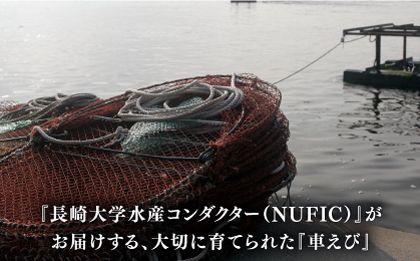 深江町漁協産車えび の西京漬け ６〜７人前  / 海鮮西京漬け / 南島原市 / 三ツ池[SCK010]