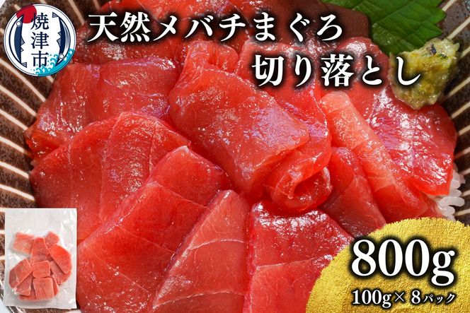 yÉĒÎsza10-1037@VR Ē o`}O ؂藎Ƃ hg  100g×8pbN