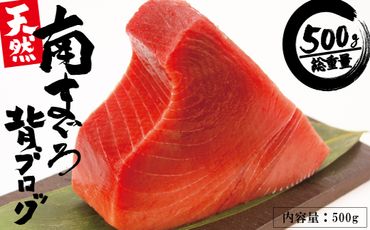 キハダ(キワダ)の切りかぶ 丸い
