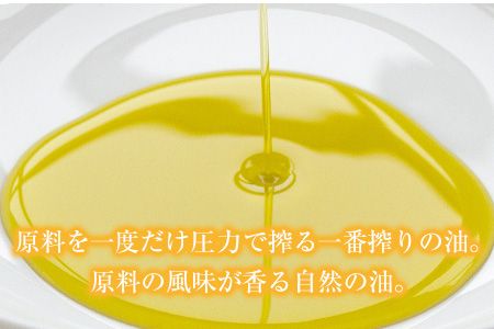 「堀内製油」の金ごま油825g×2本セット 熊本県氷川町産《30日以内に出荷予定(土日祝除く)》調味料 調理 料理---sh_horikngm_30d_r7_37500_2p---