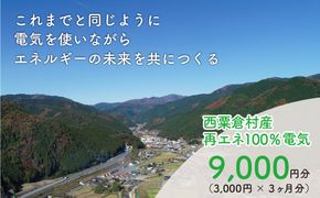 電気料金 （3,000円×3ヶ月分） 百森でんき CO2フリー 地域電力 お礼の電気 脱炭素 ゼロカーボン 岡山県 西粟倉村 【まずは寄付のお申し込みを！】 e-vv-A01D