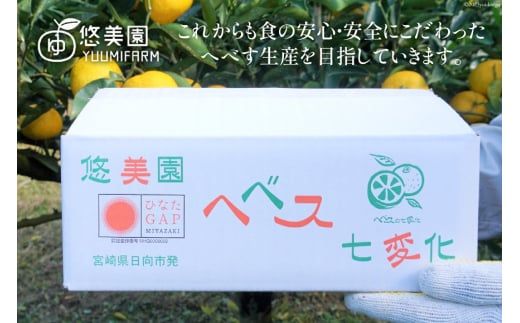 【期間限定発送】 おひさまへべす ひなたGAP認定 ふぞろい 2kg [へべすの悠美園 宮崎県 日向市 452060723] へべす ヘベス 宮崎 果物 フルーツ くだもの 柑橘 ポン酢 調味料 果汁