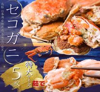 1046 セコガニ 特大サイズ150～190g ×5枚 ご進物用（茹で）【到着日指定不可】