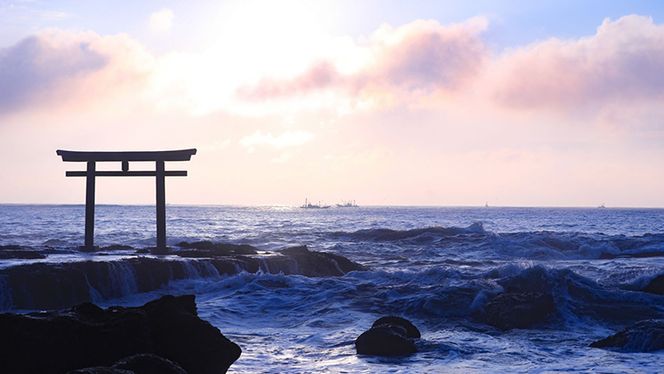 あんこう鍋 セット 5～6人前 ( 共通返礼品：茨城県大洗町 ) スープ付 茨城 名物 アンコウ 鮟鱇 鍋 あん肝 コラーゲン 冷凍 海鮮 魚介類 冬 [CX001us]