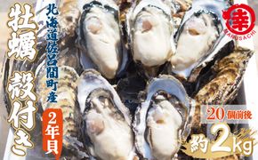 【先行予約】【10月中旬から順次発送】カキ 殻付き 2年貝 約2kg（20個前後） 佐呂間産 SRMA012