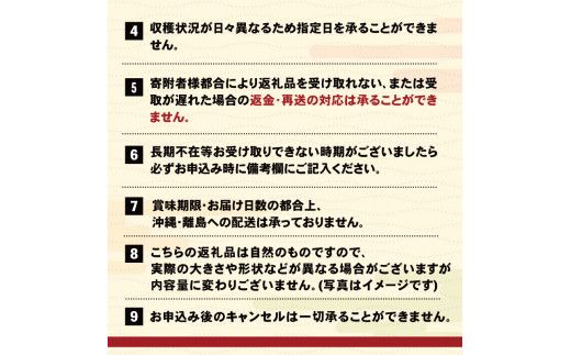 【2026年 先行予約】 生うに 200g 岩手県産 冷蔵 雲丹 小分け ミョウバン不使用  テレビ TV 放送 ニュース 番組 大船渡 岩手県