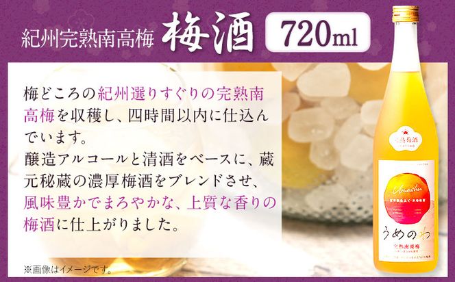 紀州完熟南高梅 ねりうめ酒 完熟梅酒 飲み比べセット 720ml×2本 厳選館 《90日以内に出荷予定(土日祝除く)》 和歌山県 日高川町 酒 さけ お酒 飲み比べ 梅酒 1440ml---wshg_genknhu_90d_22_13000_2p---