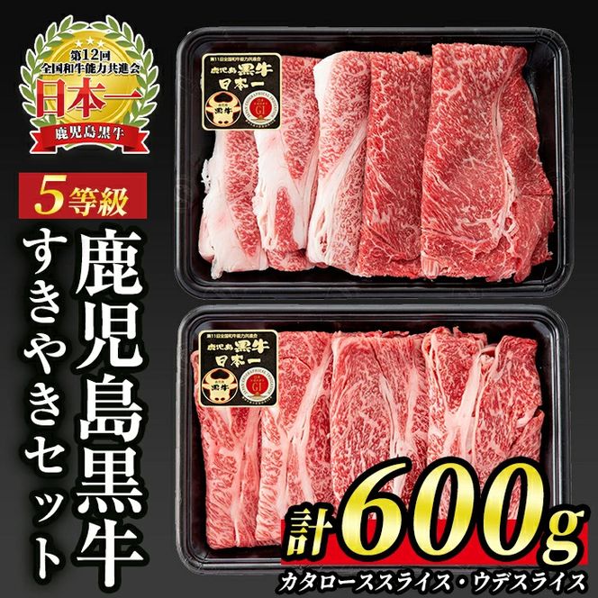 yɍszB0-10 (D-101)y5z(J^[XXCXEEfXCX)₫Zbg(v600g)I{ɋPƒŁIyJAk܁z