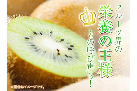 先行予約 和歌山県産 キウイフルーツ 約3.6kg 約20玉～36玉前後 前商店《2025年1月下旬-3月上旬頃出荷》キウイ キウイフルーツ フルーツ スイーツ 果物 送料無料---wsk_ucsbkui_l13_22_14000_20t---