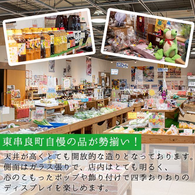 【04808】東串良物産館のおたのしみBOX-Sサイズ！【東串良物産館】