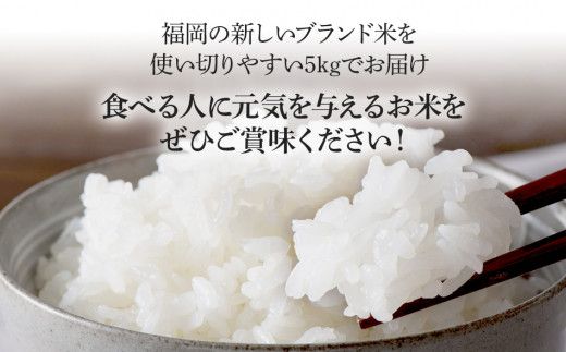 令和7年産　福岡県産ブランド米「元気つくし」白米5kg【11月上旬頃より順次出荷予定】