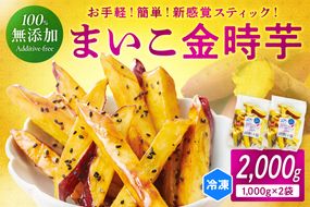 甘～ぃ！ほっこり！新感覚　新品種で作った京丹後産 『無添加　まいこ金時芋 スチーム加工 冷凍スティック』　1,000g×2袋　芋 大学芋 大学いも 国産 京丹後産 サツマイモ 薩摩芋 サツマ芋 さつま芋 きんとき 芋けんぴ いもけんぴ お菓子 おかし 和菓子 おやつ スイーツ 人気 いも かりんとう ギフト お土産 贈り物 お弁当 冷凍 小分け 農家応援 生産者応援 YK00115