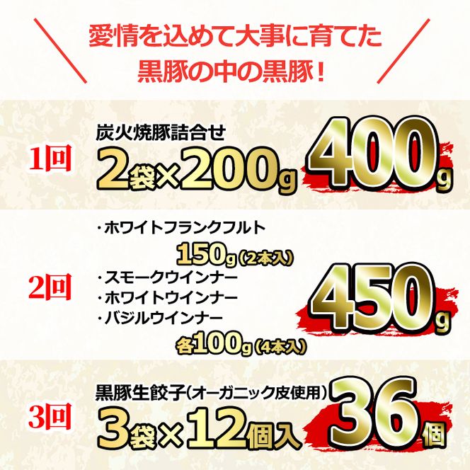 【0355105b】＜定期便・全3回＞無添加鹿児島黒豚だらけの定期便(炭火焼豚 400g・ソーセージ4種 合計14本・餃子 計36個)黒豚 豚肉 ぶた肉 炭火焼豚 焼豚 フランクフルト 餃子 セット【鹿児島ますや】