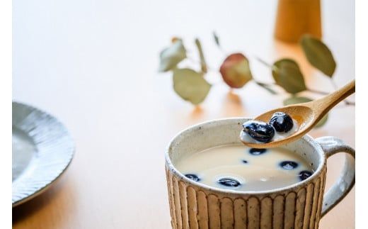 a15-539　FORIVORA 丸ごとラテシリーズ全種類セット 40P