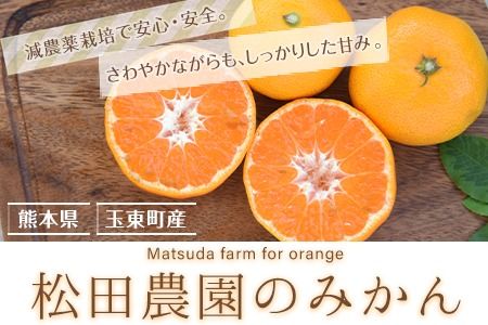 みかん ご家庭用『松田農園』ご家庭用みかん 約10kg(S-2Lサイズ) たっぷり 【日付指定不可】 予約受付中 フルーツ 秋 旬 約10kg 熊本県玉名郡玉東町『松田農園』 こだわり ミカン！ちょこっと 訳あり《11月上旬-1月下旬頃より順次出荷》---sg_wmmikan_ak111_r7_10500_10kg---