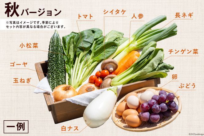 【CF01】AD038【定期便】野菜・フルーツ・卵　旬のお任せセットA　12回お届け
