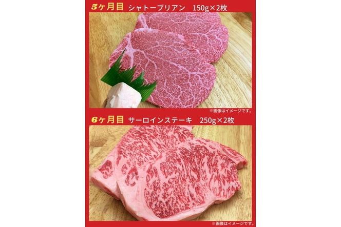 【6回定期便】亀岡牛 6ヶ月 お楽しみセット【計2.8kg】＜亀岡牛専門 木曽精肉店＞≪和牛 牛肉≫