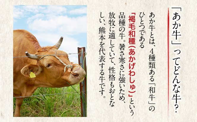 くまもとあか牛 すき焼き用 400g 南阿蘇L（阿蘇牧場）《90日以内に出荷予定(土日祝除く)》熊本県 南阿蘇村 すき焼き すきやき 牛肉 肉 あか牛 赤牛---sms_fkmkgsk_90d_r7_17000_400g---