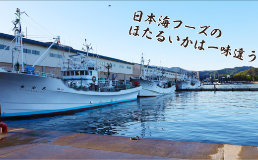 【訳あり】兵庫県香住産 ほたるいか 素干し 120g（60g×2袋） 入金確認後順次発送 北海道・沖縄・全国発送可 兵庫県香住漁港で水揚げされた新鮮なほたるいかを使用 昔ながらの製法で丁寧に素干し 日本酒・焼酎・ビールなど、酒の肴に最適 お子様のおやつに 大人気 ホタルイカ イカ いか ふるさと納税 香美町 香住 5000 5000円 五千円 以下日本海フーズ にしとも かに市場 07-112