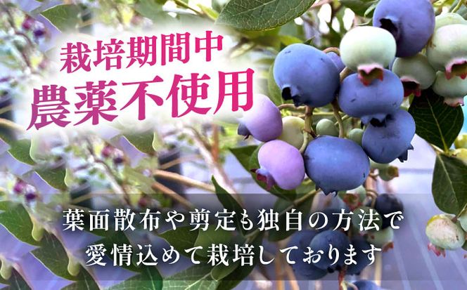 ＼毎年7月より順次発送/あいさい彩ベリー（冷凍果実）250g×2パック 【あいさいベリーLABO】 ブルーベリー フルーツ 冷凍 [AEBZ003]