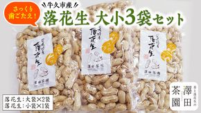 牛久産 落花生 大小3袋 詰合せ ピーナッツ ピーナツ ナカテユタカ 中手豊 甘い 美味しい おいしい おやつ お菓子 ビールのお供 お酒のあて 酒の肴 お取り寄せ 詰め合わせ お土産 贈り物 ギフト プチギフト 国産 茨城 特産品 農園 自家栽培 [AX006us]