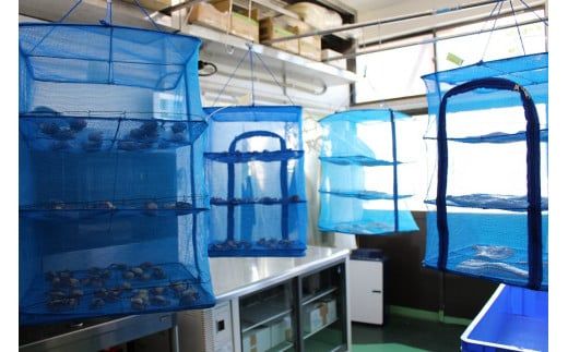 大槌の牡蛎燻製《にんにくオイル》L 180g×1個【0tsuchi00349-202412】