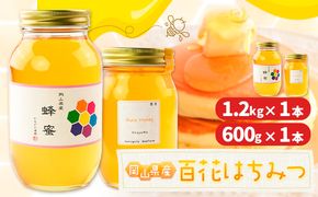 はちみつ 蜂蜜 百花 600g×1本 1.2kg×1本 計2本 かもがた養蜂 《30日以内に出荷予定(土日祝除く)》 岡山県 浅口市 送料無料 ハチミツ 百花蜜 百花はちみつ 岡山県産---124_236_30d_23_23000_600---