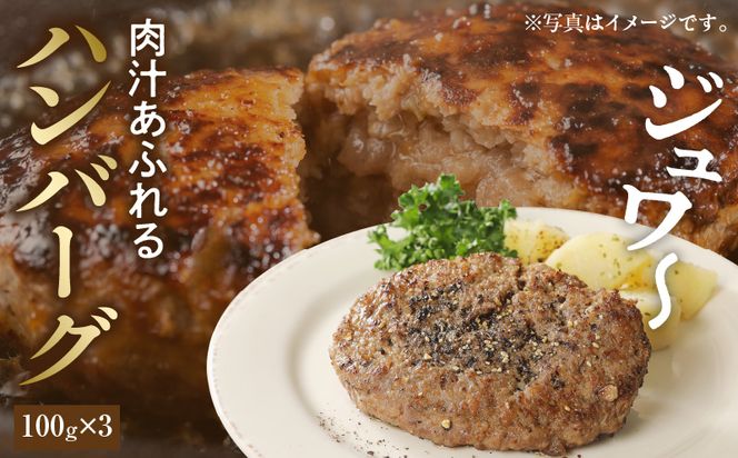 宮崎牛　牛肉 ペッパーハンバーグ100g×3・コロッケ80g×6 2セット_M132-003