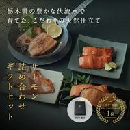 【【国産】高級サーモン】【サーモン食べ比べ 皮なしフィレ・漬魚セット】産地直送 おつまみ 高級 ※沖縄・離島への配送不可