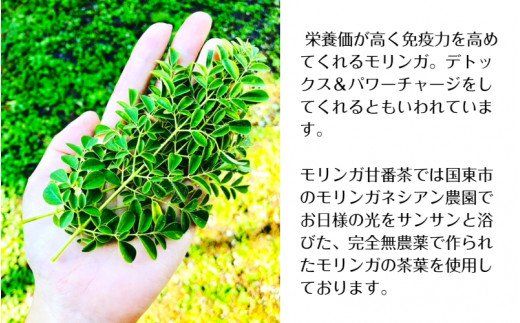 モリンガ甘番茶　1袋（10包入り）_1745R