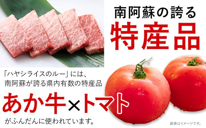 ちきゅうや「むらのハヤシルー」 200g×4食 セット 計800g 《30日以内に出荷予定(土日祝除く)》 熊本県 南阿蘇村 送料無料 ハヤシルー---sms_fckyhys_30d_r7_13000_800g---