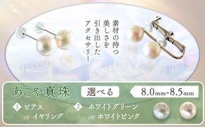 アクセサリー あこや真珠(8.0mm-8.5mm)  選べる ホワイトグリーンまたはホワイトピンク ピアスまたはイヤリング ケース付き 富士真珠株式会社《45日以内に出荷予定(土日祝除く)》真珠 パール ピアス イヤリング 耳 両耳用 冠婚葬祭 礼服 アクセサリー 装飾品---F-02_iwg---