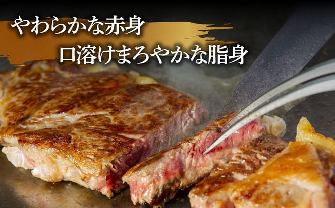【3回定期便】長崎和牛 サーロインステーキ 2人前（200g×2枚）/ 牛肉 ステーキ 長崎産 サーロイン / 南島原市 / ふるさと企画 [SBA032]