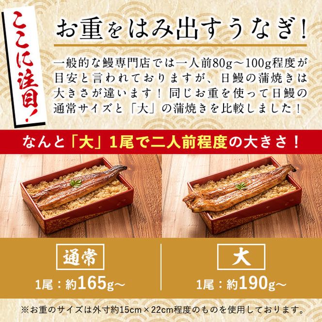 日ノ本一の鰻の蒲焼き＜大＞7尾セット(計1,330g以上) f0-034