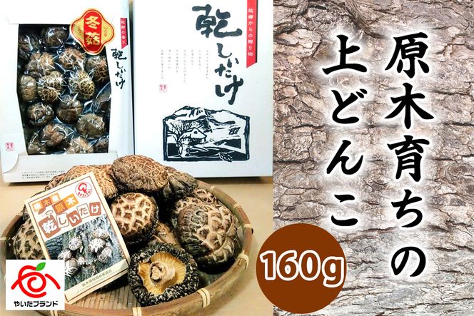 肉厚・厳選！原木育ちの上どんこ160g｜栃木県 矢板市 しいたけ 椎茸 産地直送  [0333]