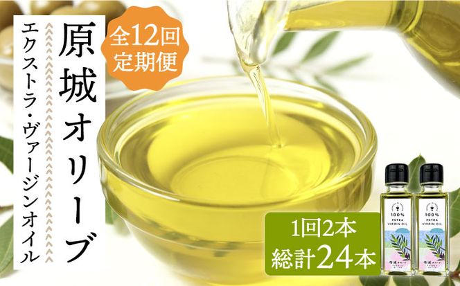 y茧쓇szy12ցzI[u GNXg@[W IC 100ml 2{ /   I[uIC I[u / 쓇s / ~iT| [SCW051]