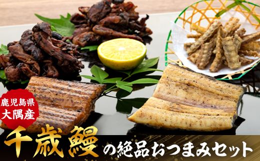 【CF002】鹿児島県大隅産　千歳鰻の絶品おつまみセット【CH72】