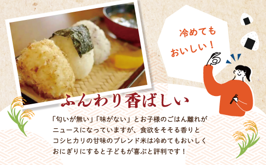 米 10kg 【 令和7年産 】コシヒカリ 香り米 ヒエリ 入り 四万十のかおり 5kg ×2袋 国産 こしひかり ブレンド 精米 白米 ごはん おいしい 高知県 四万十市 四万十 しまんと 25-153