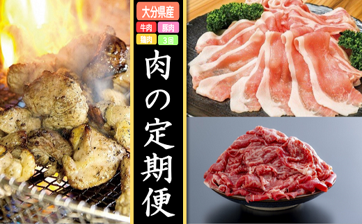 肉の定期便 年3回 [牛・豚・鶏] GA-02 鶏もも 鶏むね ササミ 豚バラ 焼肉 牛バラ 切り落とし 肉 牛肉 鶏肉 豚肉